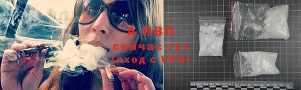 тгк Приозерск