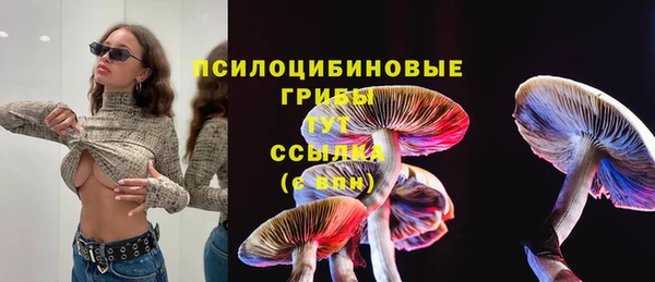 apvp Одинцово