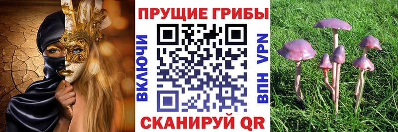 Псилоцибиновые грибы MAGIC MUSHROOMS где купить наркоту Белёв